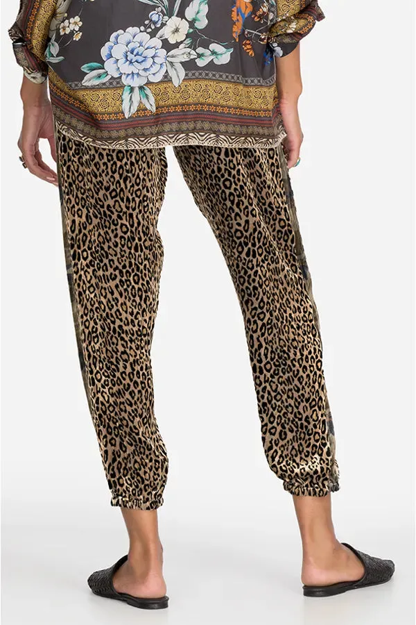 JOHNNY WAS PANTHERA VELVET MIX JOGGER